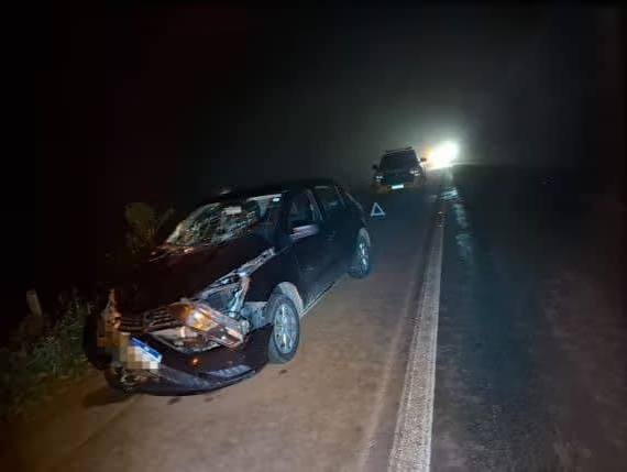 Carro atinge boi na ERS-155 e tiros são disparados contra grupo que prestava socorro